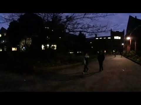 VR Video 9