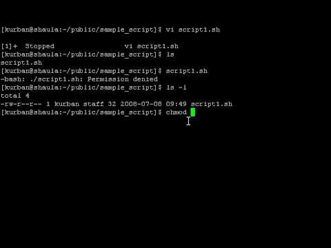 bash script intro
