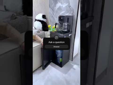 Modern Water Dispenser #shopee #kitchenessentials