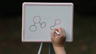 The Surprising Science of Bubbles