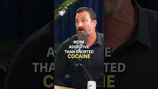 Dopamine Decoded: Motivation, Addiction & Brain’s Reward Loop w/ Andrew Huberman & Theo Von
