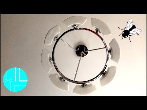 My Living Room Lamp Works as a Fly Trap