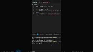 Python Course - Basic If Statements #python #informationtechnology #programming #coding