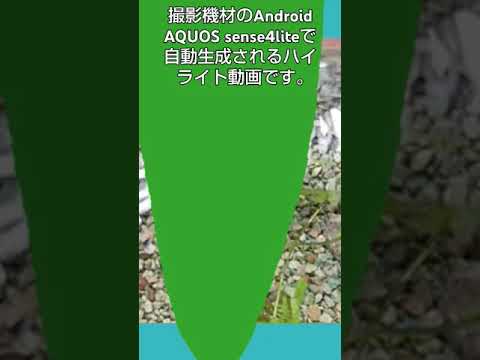 2024年8月23日