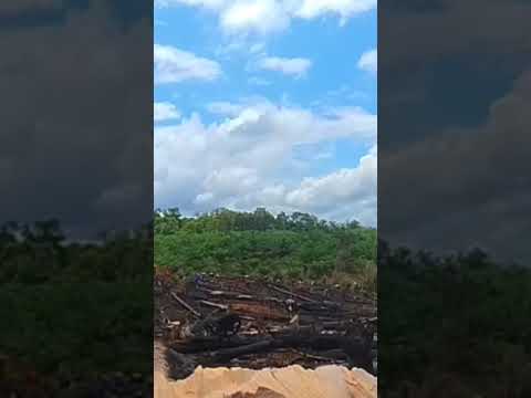 Dj viral terbaru 2024 @@Dj tik tok viral terbaru #bahrain #india