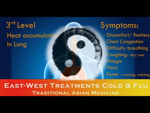 🇭🇰   East-West Medical Contrast & Integration: Cold, Flu, Epidemics, Coronavirus (Short 1st part)