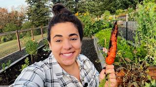 A Full October Garden Tour and It's Just as Abundant as the Summer Garden!