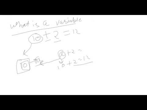 About Variable