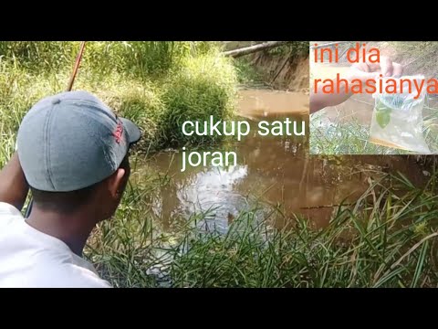 Jadi begini rupanya -cara mancing sepat siam
