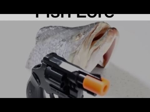 Fish Lore