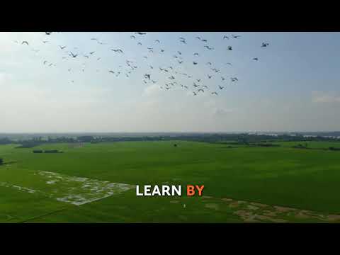Real Learning Through Real Challenges