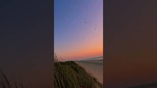 Relaxed Evening at the Beach - Sunset Vibes