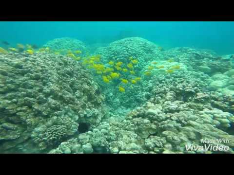 2 Step Beach/Place of Refuge, Big Island Hawaii