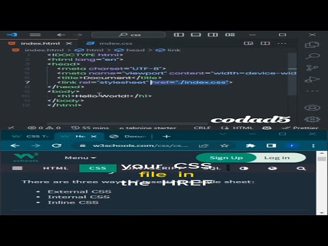 Mastering CSS: External, Internal, and Inline Styles | CSS Short #3 #css #html #coding #javascript