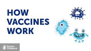 How vaccines work | Boston Children's Hospital