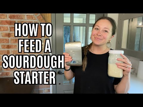 How to Feed a Sourdough Starter