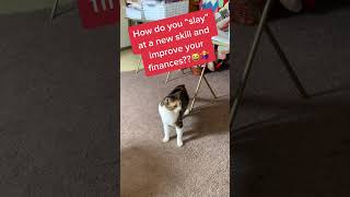 If shecan learn new tricks?So can you!!#catsofyoutube  #learntoearn #foryou #fldm #financialfreedom