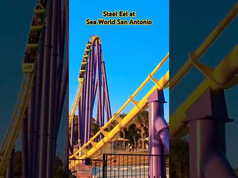 Steel Eel at Sea World San Antonio