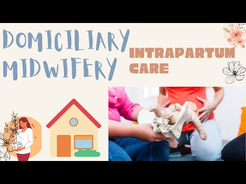 domiciliary midwifery  part 3 #mother #pregnancy  #youtubeshorts #yotubeviralvideo #newbornbaby