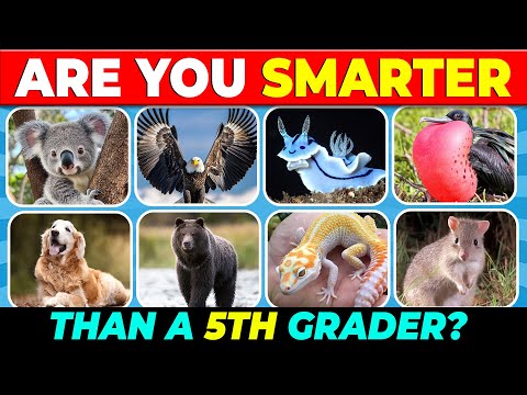 How Good Is Your Animal Knowledge? 🐾🧠 Take the Quiz!