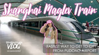 How to Take Maglev Train from Pudong Airport to Longyang Station