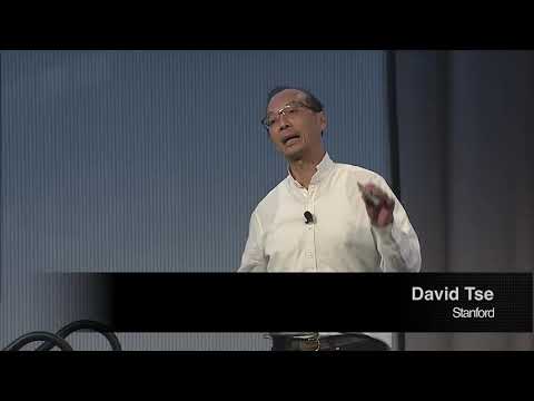 Solving the Blockchain Trilemma - Pramod Viswanath, David Tse & Sreeram Kannan - CES Summit '19