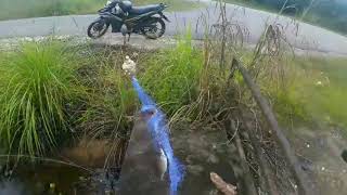 mancing jaring seronok😊