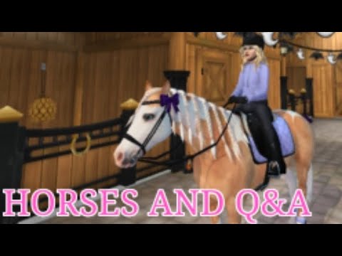 *FIRST VIDEO* SHOWING MY HORSES AND SMALL Q&A