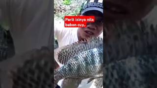 Mancing jaring di parit dapat ikan besar " || #short #mancingjaring #fishing