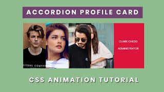 CSS Accordion Profile Card Hover Animation