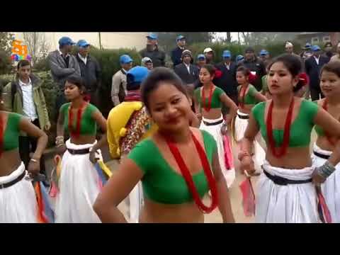 Traditional Tharu Dance | Nepali Local dance
