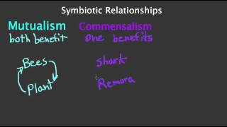 Symbiotic Relationships