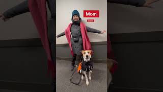Winter in NYC has been freeezing this year! Jacket: @non-stopdogwear  #winterinnyc #dogjacket