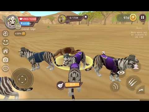 playing wild craft with tiger