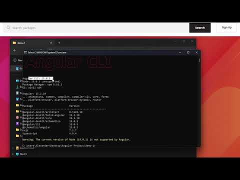 How to update the Angular CLI version - Tutorial 2024