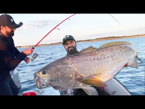 MAIGRE DE 20KG AU VIF ! RUSH VIOLENT !