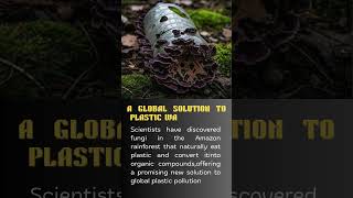 #updatenews #naturephotography #savethenature #the curious collective