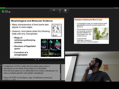 PCC Biology 212 Chapter 29 Pt. 1 Seedless Plants