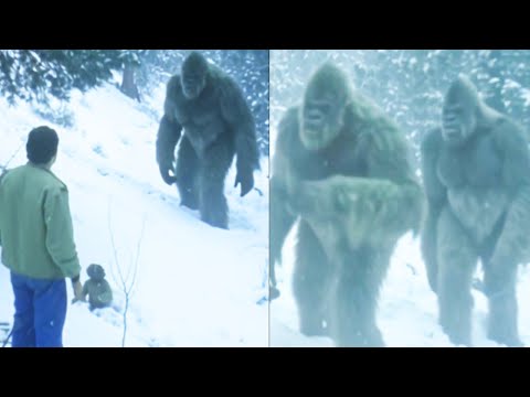 Frozen Bigfoot Family Reached This Man's Cabin - Then The Unthinkable Happened - Sasquatch Story