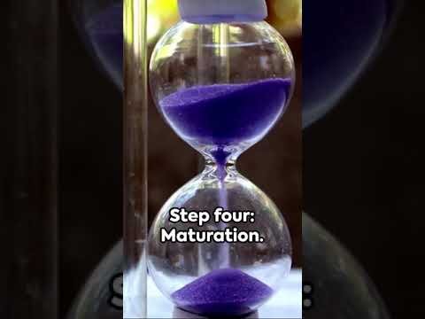 The Art of Scent Unveiling the Secrets of Perfume Making  #amazing #how #facts #craft #artwork