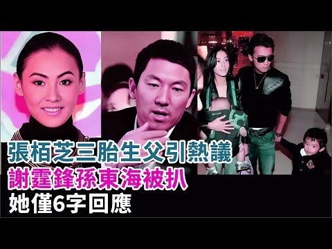 張栢芝三胎生父引熱議！謝霆鋒孫東海被扒，她僅6字回應#張栢芝#謝霆鋒#孫東海#謝賢#謝婷婷#王菲#陳冠希#戴麗莎#李小冉#殷桃#明星娛記