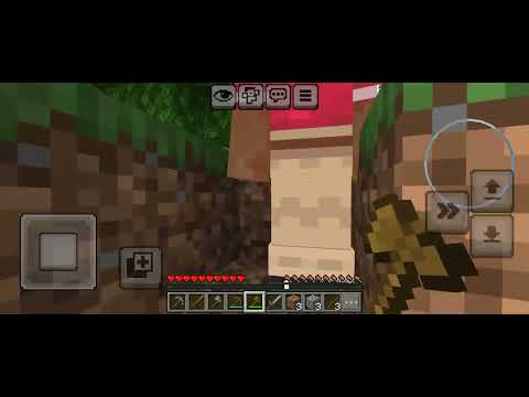 Making a Minecraft Series (Part 10)