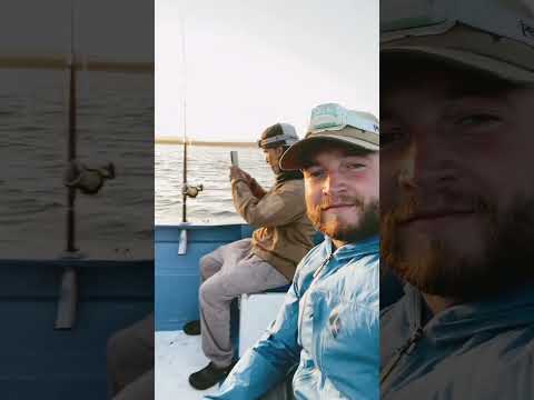 FISH ON Mexico🇲🇽🎣#shorts #mexico