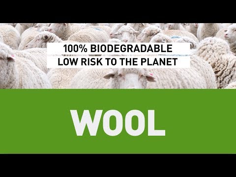 Synthetic Vs Wool - What's the Difference?