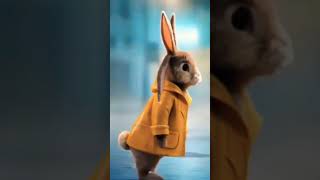 #beautiful  #Rabbit