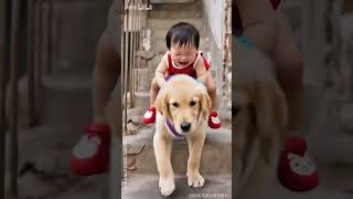 Baby with dog