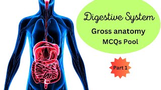 Digestive System | gross anatomy | MCQ pool | Part 1 | Ross and Wilson