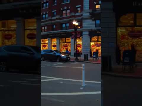 Harvard on a Fall Evening Walk | ASMR