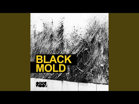 Black Mold