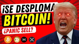 🔴 EN VIVO: ¿HASTA DÓNDE CAERÁ BITCOIN HOY? 👉 Revisión a Fondo: Oro, Plata, EURUSD